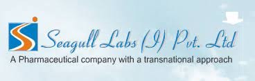 seagull laboratories india pvt ltd